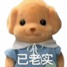 姜小鱼 的头像