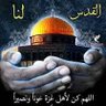 Фото профиля الشبل اليماني