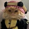 Фото профиля CEO Of القطط السخيفة