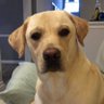 FAFO's profile picture