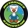 Profilbild von Craig | COO MetaRides, Inc