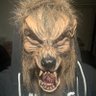 Profilbild von Psycho Wølf サイコウルフ 🐺