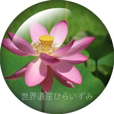 HikaruFM's profile picture