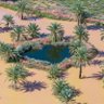ابو عبد المحسن (محمد)'s profile picture