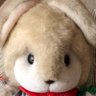 Profilbild von 秋風