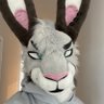 Profilbild von WOMPER