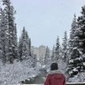 Фото профиля Cams