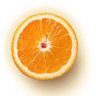 Sandro Cenour's profile picture