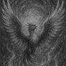 Profilbild von J