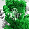 Profilbild von Agente288 🇪🇸 💚🤍💚🤍