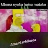 Steveogola 的头像
