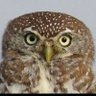 Profilbild von FineStructureConstant