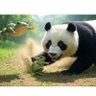 职业喷子 profil fotoğrafı
