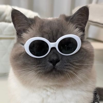 heatherday_'s profile picture