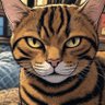 Орк СПб's profile picture