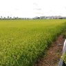 Фото профиля th-airnee@boon