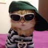 Profilbild von bibub