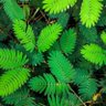 Фото профиля liciccekitcekit