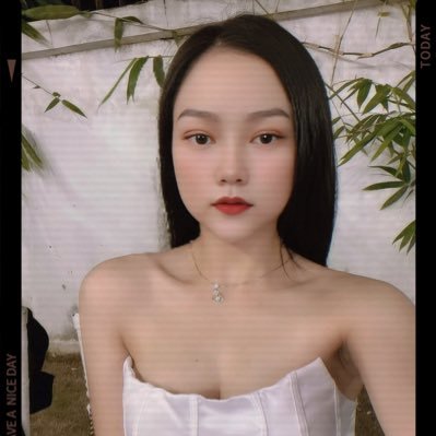 kim anh's profile picture