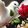 بشائر الخير.FOUFA's profile picture