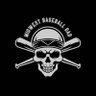 Фото профиля MidwestBaseballDad