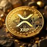XRP 的头像