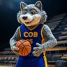 D. Gallego 🏀🇺🇦 profil fotoğrafı