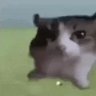 zathary's profile picture