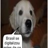 Profilbild von JuanitaZ8