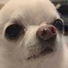 นุ้มว๋วย ♡'s profile picture