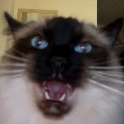 Lynix's profile picture