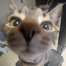 Profilbild von normal