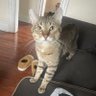 Profilbild von Nomadic-somm