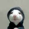 Profilbild von call me kat🤍✨