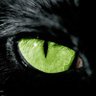 Profilbild von Fred966