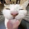 Profilbild von Tyous