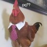 GALLO56% 的头像