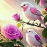 love 的头像