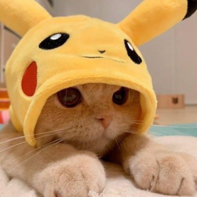 kreo444's profile picture