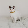 Фото профиля Wykeshia Kelliann