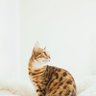 Фото профиля Mandy Lopez
