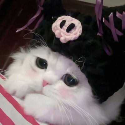イニシャルF's profile picture