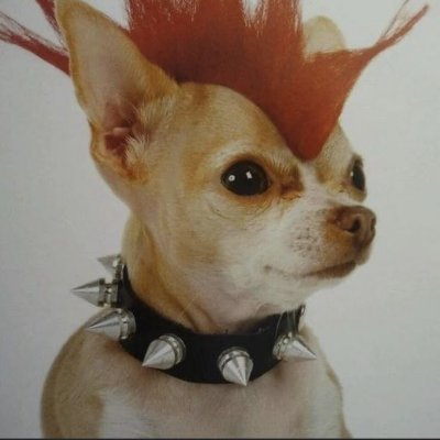 Chicho!'s profile picture