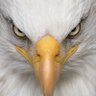 TRUMP 2028 !!!'s profile picture