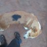 ibrajo59's profile picture