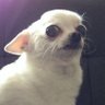Jorge's profile picture