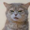 TBD profil fotoğrafı