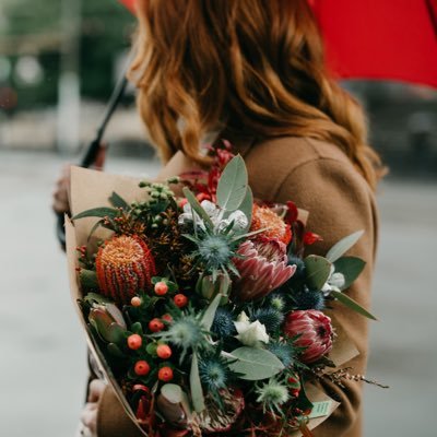 TheAliceGrey's profile picture