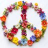 Фото профиля peacelove&pansies