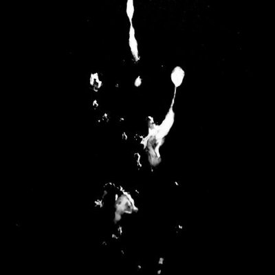 ammon_lu's profile picture